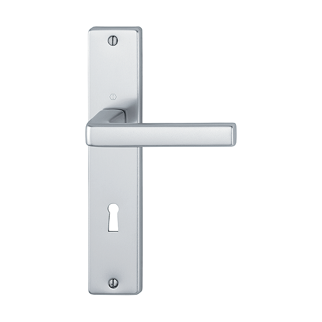 F1 aluminium aspect argent