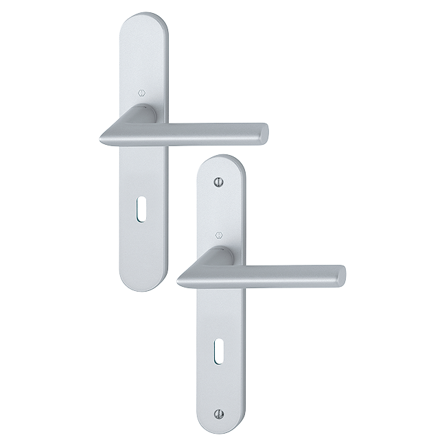 F1-2-S aspect argent mat SecuSan (usage interne)