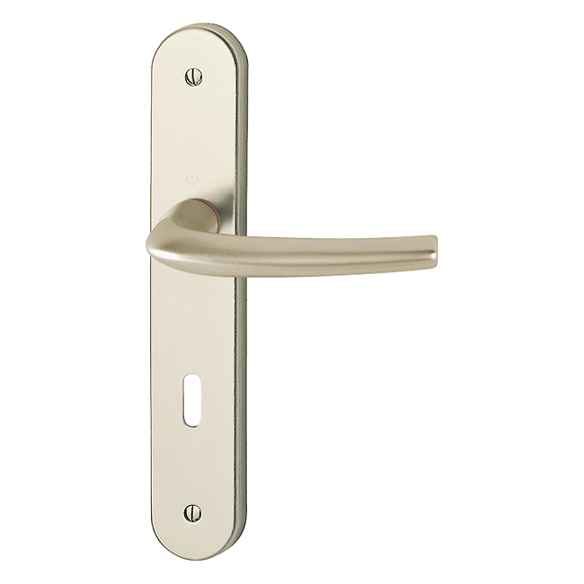 F2 aluminium aspect champagne