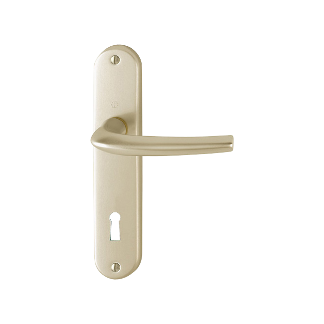 F2 aluminium aspect champagne