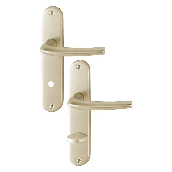 F2 aluminium aspect champagne