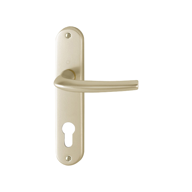 F2 aluminium aspect champagne