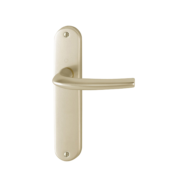 F2 aluminium aspect champagne