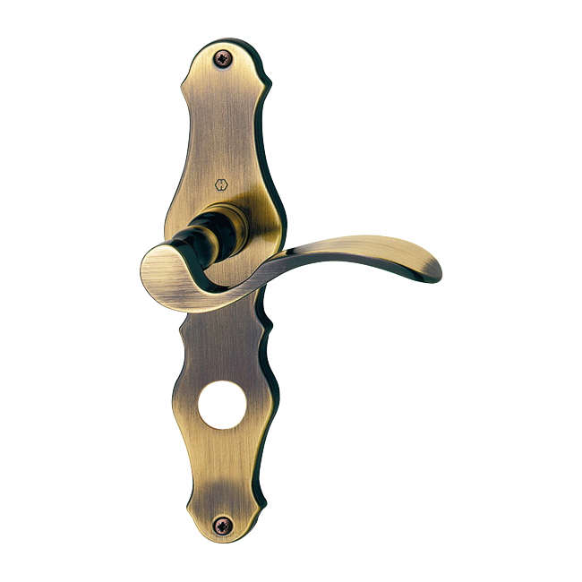 F73 laiton bruni